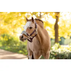 Mini Vogue Headcollar & Leadrope Damson