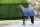 Kudos Rug Liner 100g Navy