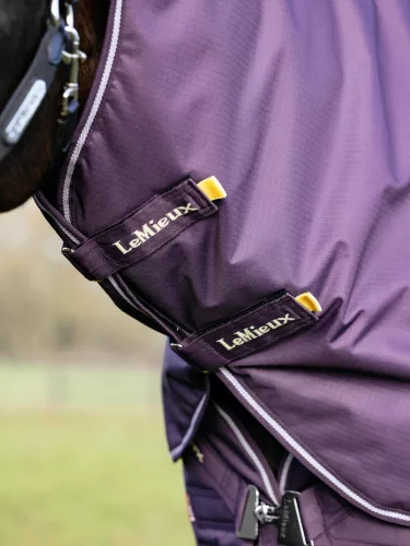 Arika Ripstop 0g Turnout Rug Juniper