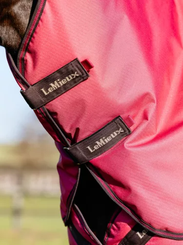 Arika Ripstop 0g Turnout Rug Cranberry