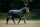 Arika Storm-Tek Rug 350g Black