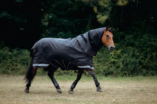Arika Storm-Tek Rug 350g Black