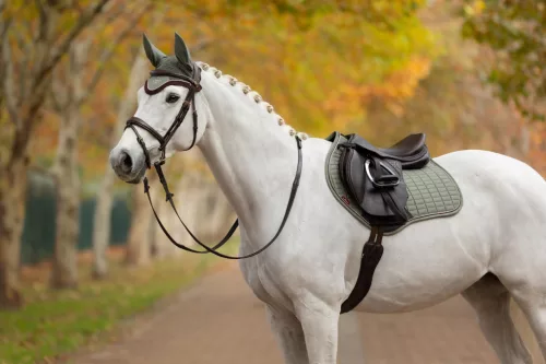 Suede Close Contact Square Rosemary