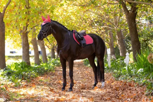 Suede Close Contact Square Cranberry