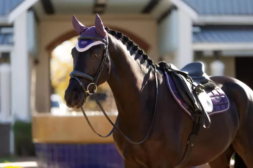 Merino+ Loire Classic Close Contact Square Juniper