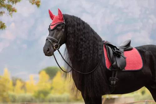 Suede Dressage Square Cranberry