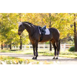 Suede Dressage Square Lilac