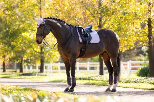 Suede Dressage Square Lilac