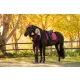 Loire Classic Dressage Square Cranberry