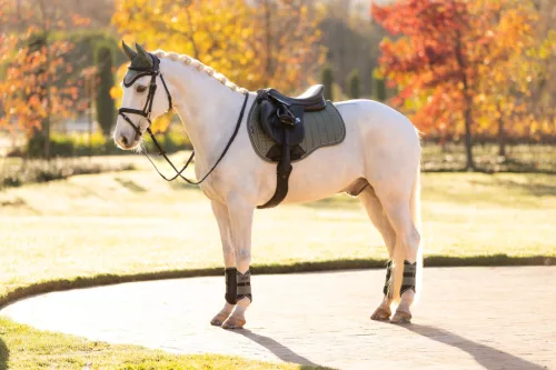 Suede GP Square Rosemary