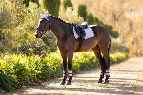 Suede GP Square Lilac