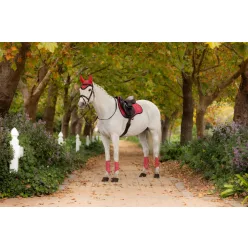 Loire Classic GP Square Cranberry