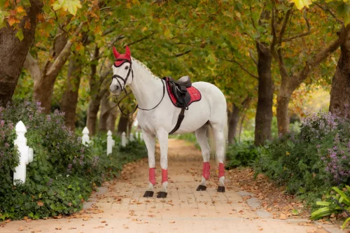 Loire Classic GP Square Cranberry