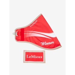 Hobby Horse Winners Rug Red