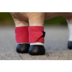 Toy Pony Bandages Cranberry