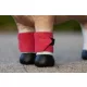 Toy Pony Bandages Cranberry