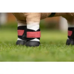 Toy Pony Grafter Boots Cranberry