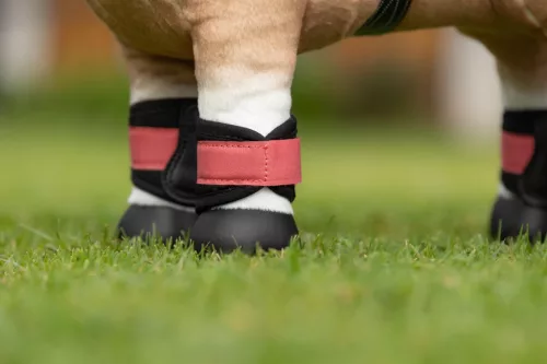 Toy Pony Grafter Boots Cranberry