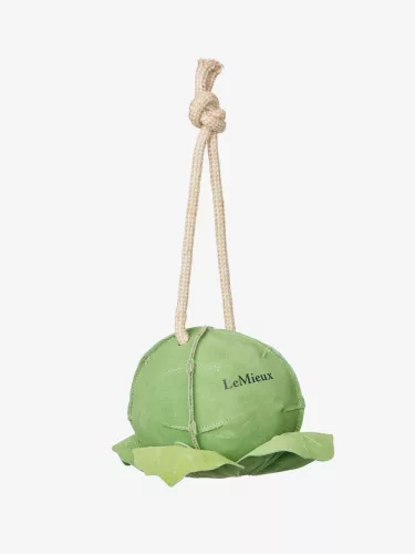 Horse Toy Sprout