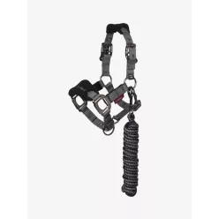 Mini Vogue Headcollar & Leadrope Black