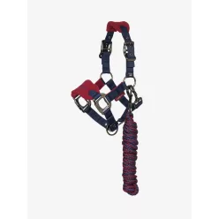 Mini Vogue Headcollar & Leadrope Burgundy