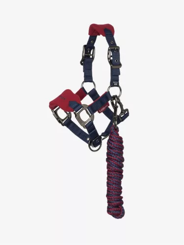 Mini Vogue Headcollar & Leadrope Burgundy