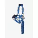 Mini Vogue Headcollar & Leadrope Benetton