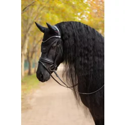 Essence Fly Hood Black