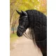 Essence Fly Hood Black