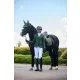Essence Dressage Square Pine Green