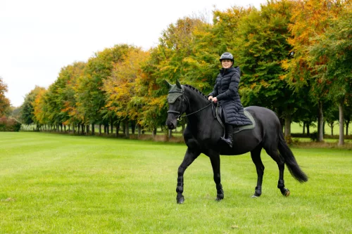 Essence Eurojump Square Pine Green