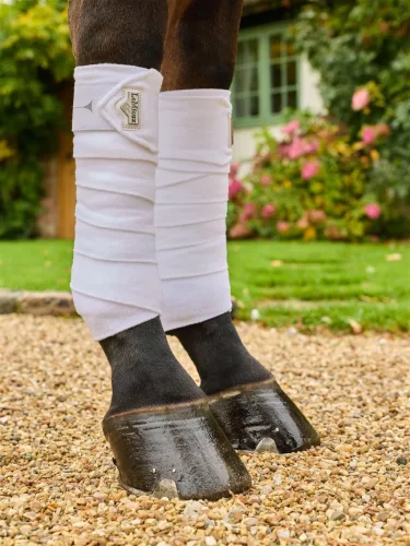 Elevate Polo Bandages White
