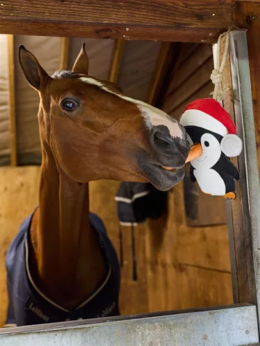 Horse Toy Penguin