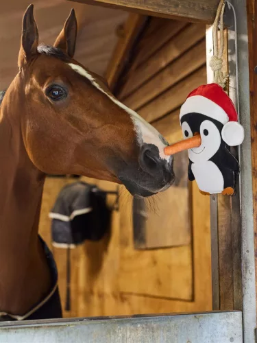 Horse Toy Penguin