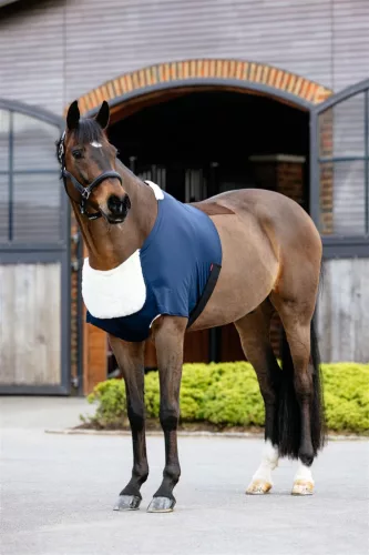 Sensitive Anti Rub Bib Navy