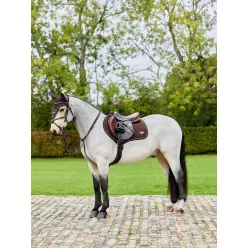 Puissance Suede Close Contact Square Brown