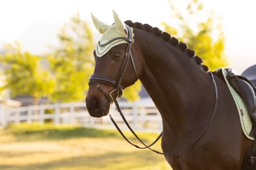 Classic Fly Hood Macaron