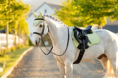 Suede GP Square Macaron