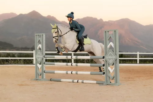 Suede GP Square Macaron