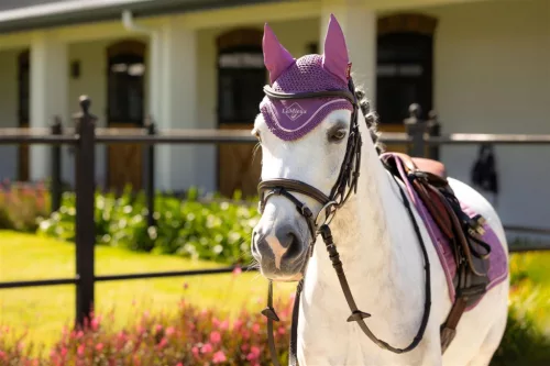 Mini Classic Fly Hood Mallow