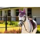 Mini Classic Fly Hood Mallow