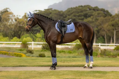 Loire Classic Close Contact Square Powder Blue