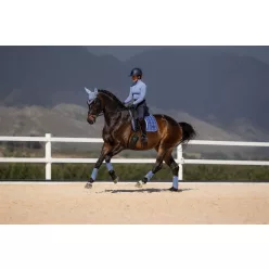 Loire Classic Dressage Square Powder Blue