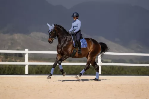 Loire Classic Dressage Square Powder Blue
