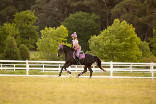 Loire Classic GP Square Mallow