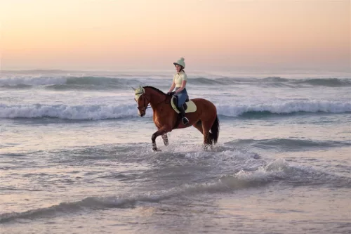 Air-Tek Mesh Close Contact Square Macaron