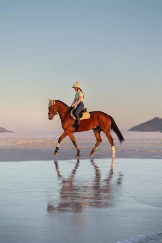 Air-Tek Mesh Close Contact Square Macaron