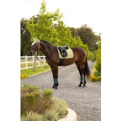 Air-Tek Mesh Dressage Square Macaron