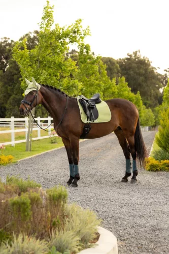 Air-Tek Mesh Dressage Square Macaron