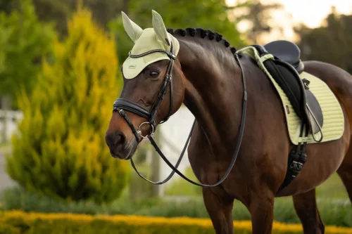 Air-Tek Mesh Fly Hood Macaron